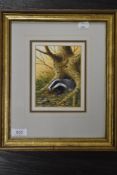Ralph Waterhouse, (1943- contemporary), a gouache painting, badger, signed, 14 x 10cm, mounted