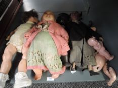 Three celluloid and composition vintage Dolls, Kammer & Reinhardt 728/7 43/46, Armand Marseille