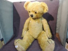 A mid 20th century straw filled yellow plush Teddy Bear having plastic eyes, stitched nose and