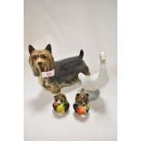 A Yorkshire terrier dog study, a Nao swan and two glass panda studies