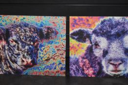 (20th century), a print, psychedelic sheep, 42 x 55cm