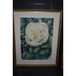 Heather James, (contemporary), a pastel sketch, magnolia, 2002, 81 x 59cm, mounted framed and