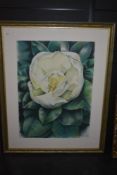 Heather James, (contemporary), a pastel sketch, magnolia, 2002, 81 x 59cm, mounted framed and