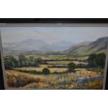 (20th century), an oil painting, bonny landscape, 48 x 60cm, framed