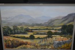 (20th century), an oil painting, bonny landscape, 48 x 60cm, framed
