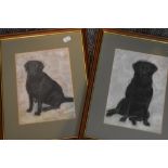 (Contemporary), a pair of sketches, labradors, 24 x 17cm, mounted framed and glazed, 40 x 31cm