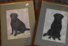 (Contemporary), a pair of sketches, labradors, 24 x 17cm, mounted framed and glazed, 40 x 31cm