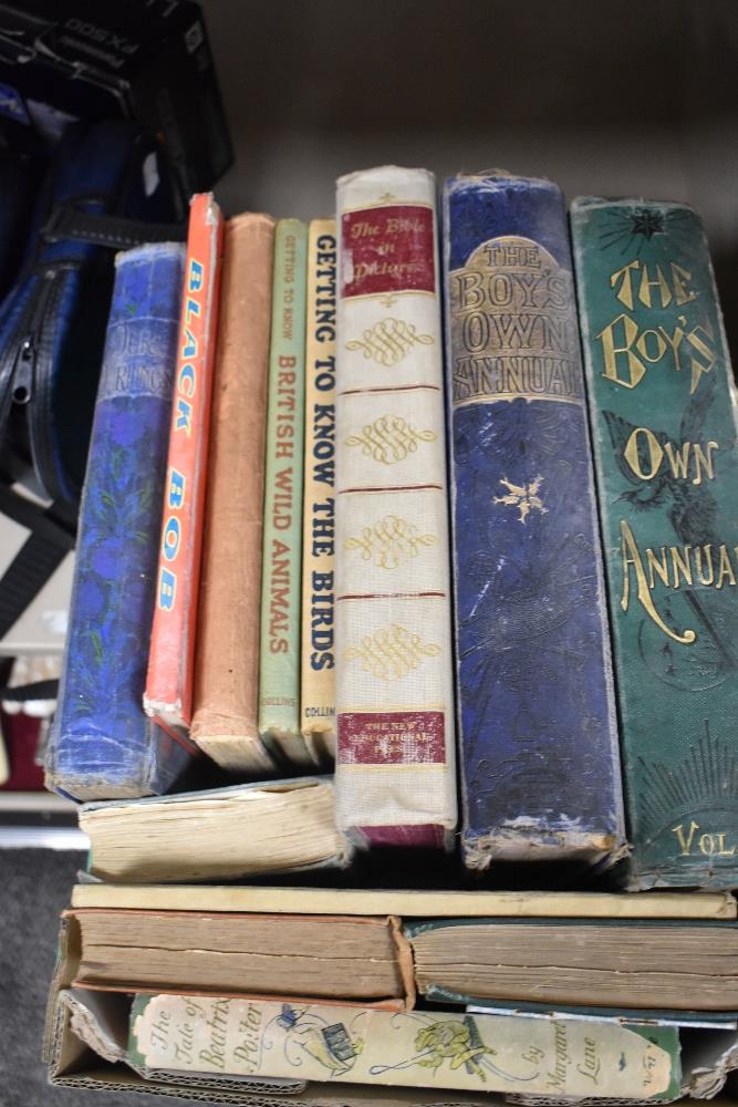 An assorted selection of books including Boys Own Annual, Beatrix Potter and Black Bob