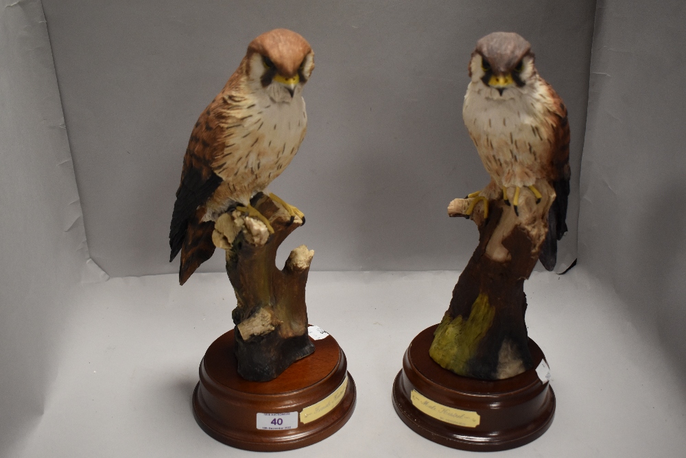 Two modern Henley in Arden Pendragon Crafts figure studies both of Male and Female Kestrels with