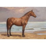 EDOARDO GIOJA (Rome, 1862 - London, 1937): Horse by the sea