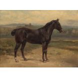 ENRICO COLEMAN (Rome, 1846 - 1911): Horse