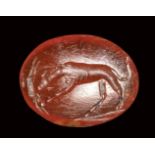 A roman carnelian intaglio. Dog with prey.1st - 2nd century A.D.