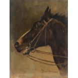 GIUSEPPE BARISON (Trieste 1853 –1931) : Horse head portrait