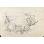 GIUSEPPE RAGGIO (Chiavari, 1823 - Rome, 1916): Cowboy with oxen