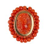 BROCHE CORAIL