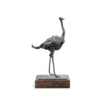AZEVEDO Ostrich Bronze, 22cm high, on a square base, raised on a stained timber base, 9.5 x 10.