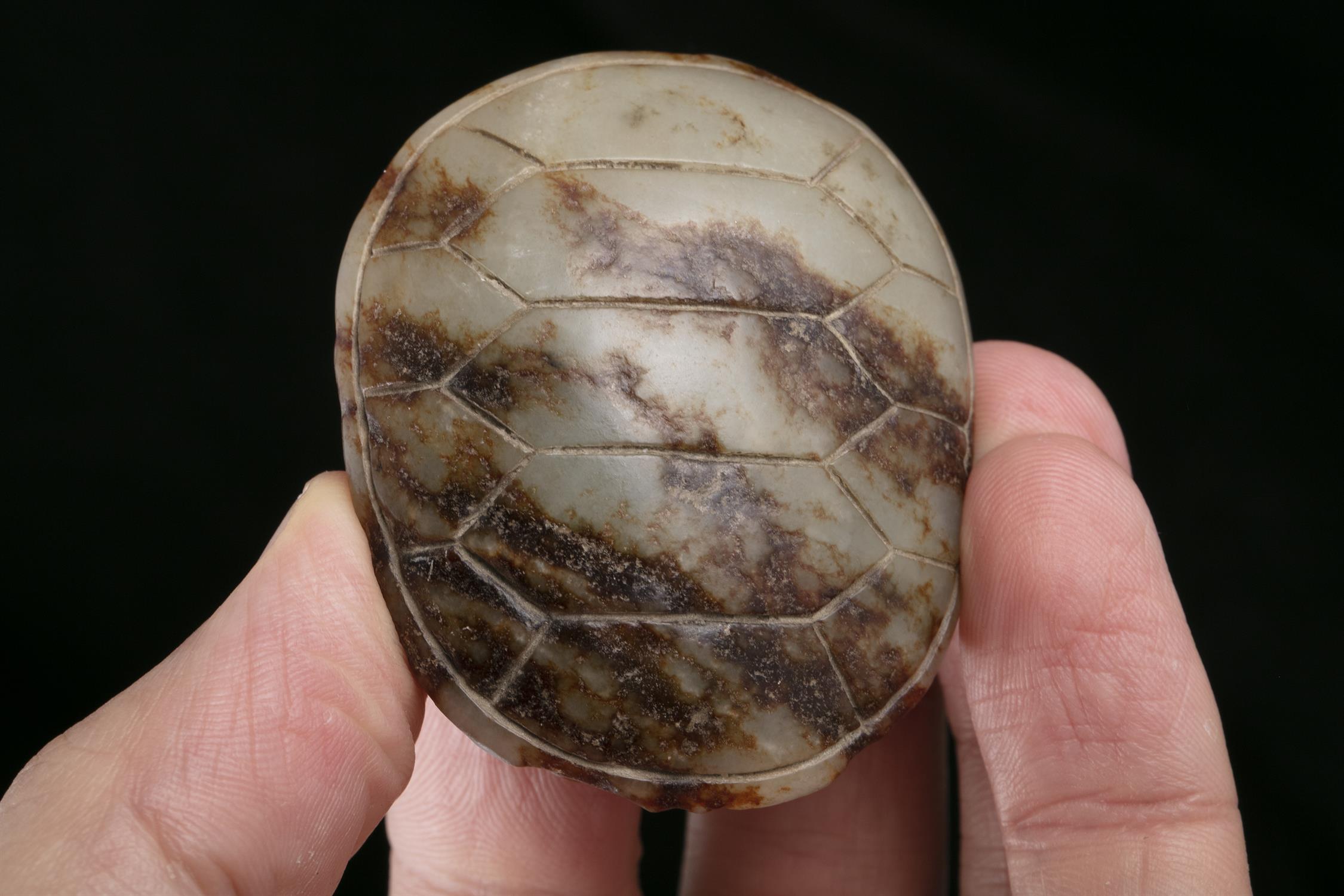 A RARE TORTOISE SHELL / TURTLE SHAPED JADE TOGGLE CHINA, MAYBE SONG DYNASTY (960-1279) OR LATER L: - Image 3 of 8