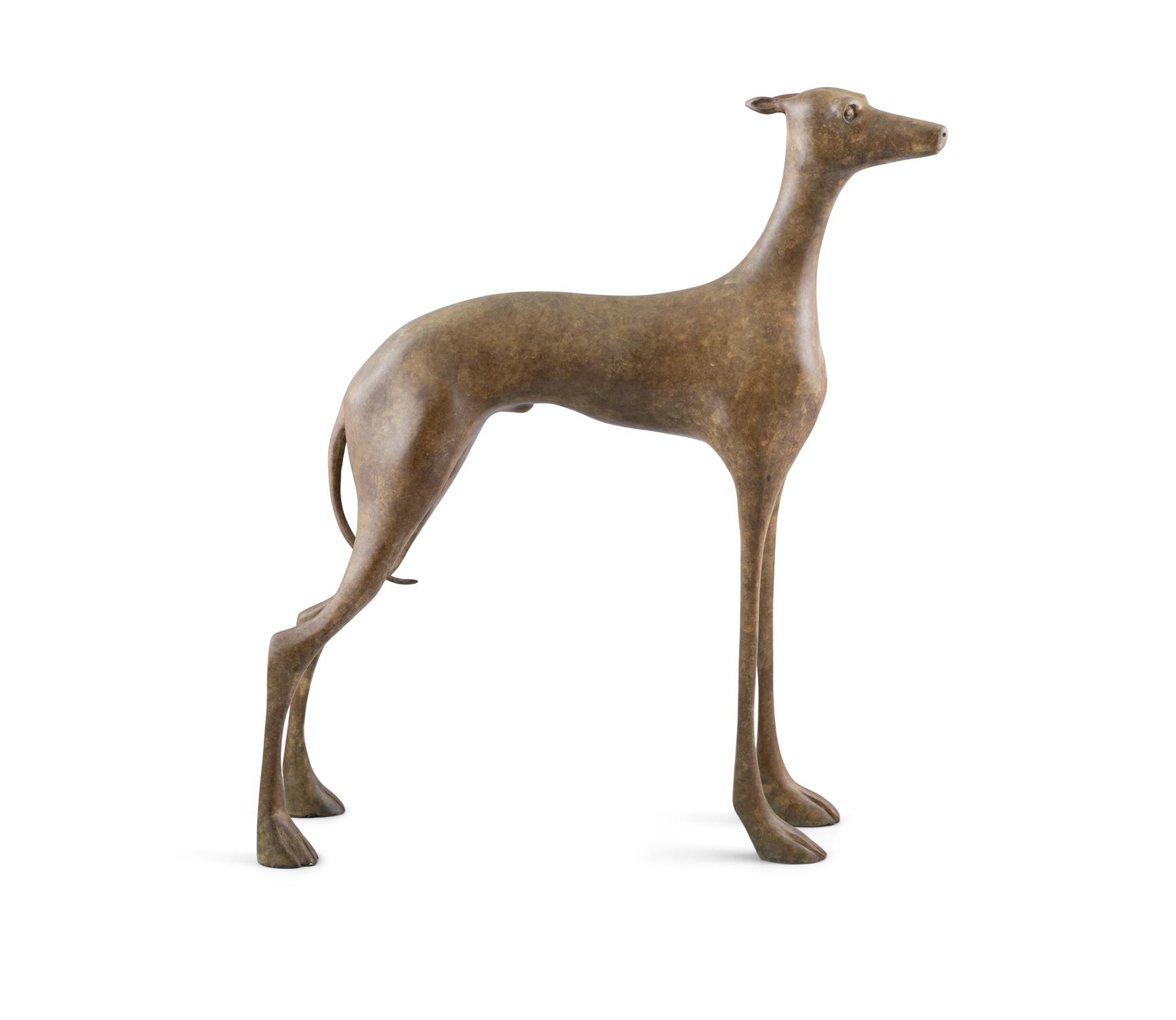 Anthony Scott (b.1968) Greyhound Bronze, 49 x 43 x 16cm high (19¼ x 17 x 6¼") Signed, - Image 4 of 4