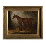 WILLIAM OSBORNE RHA (1823 - 1901) A Favourite Bay Hunter 'Paddy' in a Loose Box Oil on canvas,
