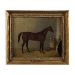 JOHN FREDERICK HERRING SNR (1795 - 1865) Colonel J Peels Archibald - Racehorse in stable Oil on