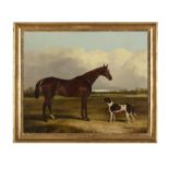 JOHN DALBY (1810–1865) A racehorse and hound in landscape Oil on canvas, 50 x 60cm Signed and