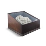 A CORAL SPECIMEN, contained within a mahogany slopefront display box. 48cm wide, 53cm deep,