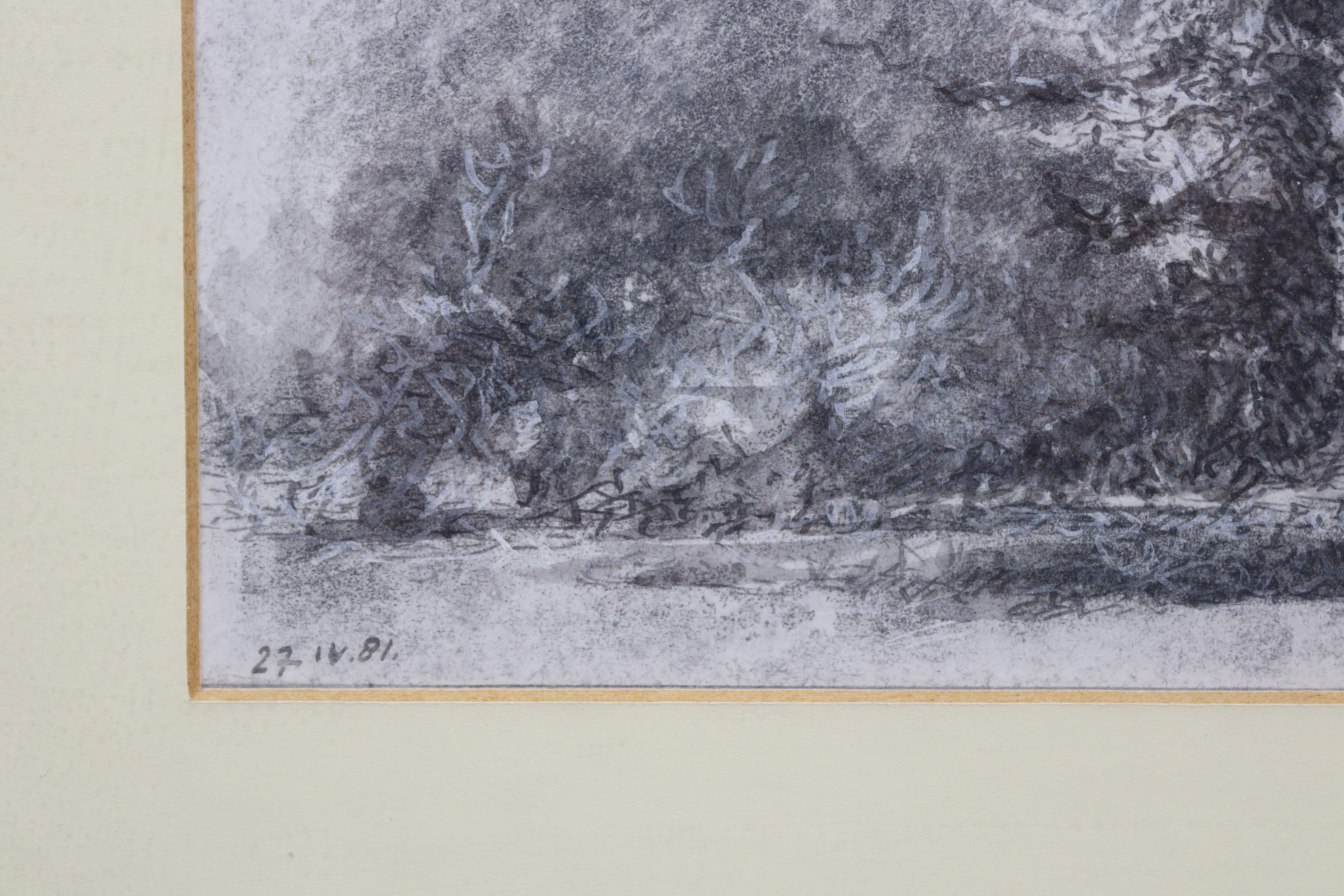 A pen & ink study of a tree, by Gerard Bellaart, 15½” x 9¾”, in glazed frame. - Bild 2 aus 4