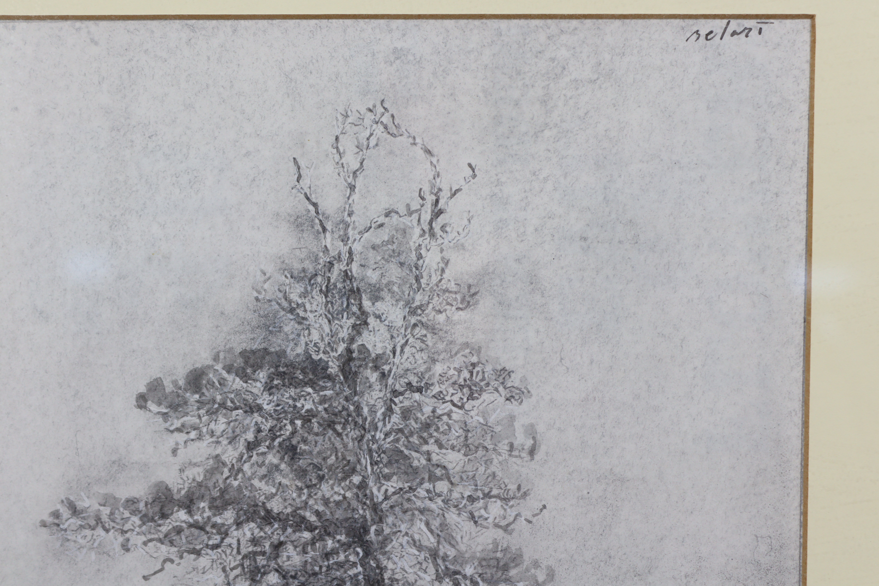 A pen & ink study of a tree, by Gerard Bellaart, 15½” x 9¾”, in glazed frame. - Bild 3 aus 4