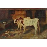 ENGLISH SCHOOL, 19th century. Two calves with a hen & chicks in a barn. Oil on canvas: 16” x 24”.