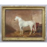 ENGLISH SCHOOL, 19th century. Portrait of a grey horse in its loose box; Oil on board: 18” x 24” (