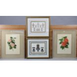 Ten various decorative pictures, all framed.