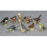 Nine various Beswick bird ornaments including “Grey Wagtail”, “Chaffinch”, Goldcrest”, etc.