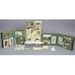 A collection of approximately three hundred postcards, early 20th century – British & foreign views,