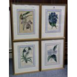 Seven hand-coloured botanical lithographs by S. Holden, 8¾” x 5¾”, etc.