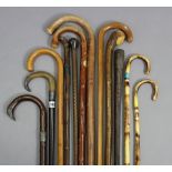 Two Edwardian gent’s walking canes each with silver mounts; together with ten various other