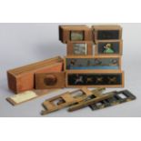 A set of twelve vintage large wood-frame nursery lantern slides, 4” x 14¼”; three slipper slides;