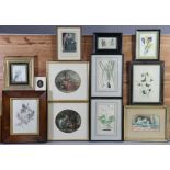 Various decorative paintings, prints, & picture frames.