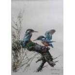 EDWIN PENNY (b. 1930). A pair of limited edition coloured lithographs “Kingfishers” & “Goldfinches”,