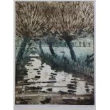 LUCY WILLIS R.W.A. (b. 1954). “Sedgemoor”, limited edition coloured etching, signed & dated 1984,