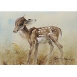 EDWIN PENNY (1930-2016). A Fawn amongst grasses. Signed lower right; watercolour & pastels