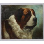 C.L. MAYNARD (?), late 19th century. Portrait of a St. Bernard, oil on canvas; signed lower