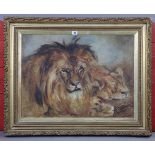 An oil painting on canvas depicting two lions, unsigned, 19½” x 16½”, in a gilt frame; & five
