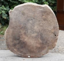A Mulberry wood(?) rustic circular coffee table top, 43½” diameter x 5¾” deep.