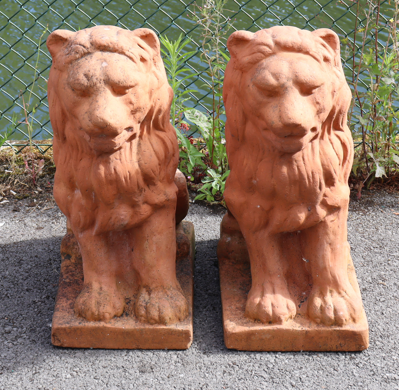 A pair of moulded terracotta garden statues in the form of seated lions, each on rectangular
