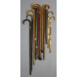 Two Edwardian gent’s walking canes each with silver mounts; together with ten various other