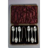 A set of six late Victorian silver Old English & Shell teaspoons & matching sugar tongs, Sheffield