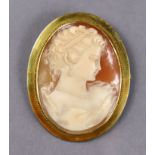A carved shall oval cameo brooch depicting a female bust, 1¾” x 1½”, in yellow metal wide mount