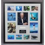 An Impulse Decisions coloured display depicting Sir David Attenborough & numerous animals,