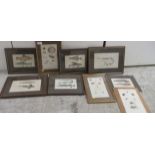 Eight natural history coloured etchings: to include arachnoids and fish  some framed