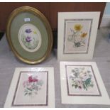 Three late 19thC botanical studies  prints  10" x 7"  mounted; and a still life study, flowers